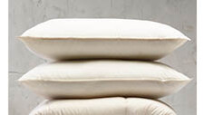 Organic Cotton Cover Pillow Assortment with Repreve® Filling 