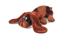 Pound Puppies 