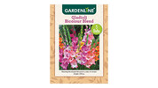 Dahlia or Gladioli Packet Bulbs