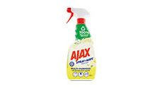 Spray & Wipe 485ml 