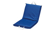 Beach Recliner