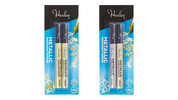 Metallic Marker 2pk