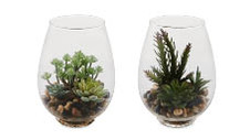 Glass Vase with Faux Succulents 