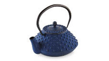 Cast Iron Teapot 