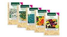 Assorted Packet Seeds 