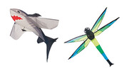 3D Kites 