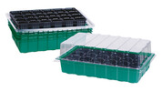 Seed Trays 4pk