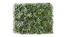 Premium Garden Wall Screening 