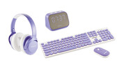 Pantone Assorted IT Accessories