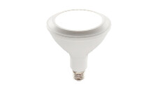 Par 38 LED Globe 