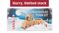 DIY Gingerbread Train Kit 450g 