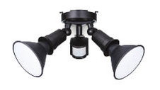 LED Twin Par 38 Security Light 