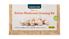 Button Mushroom Growing Kit 