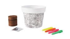 Colour and Grow Kit 