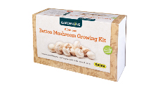 Button Mushroom Growing Kit