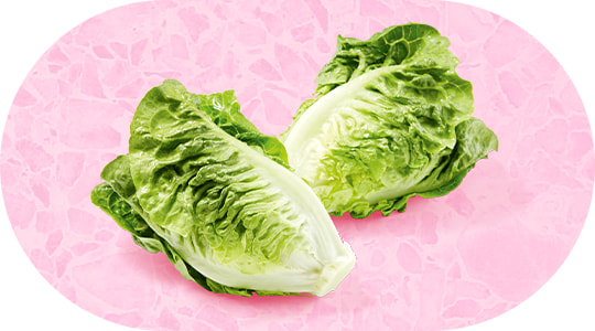 Lettuce