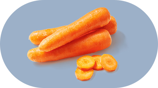 Carrot