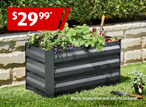 SAT Garden Offer